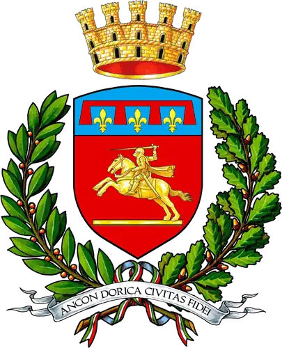 TELA image